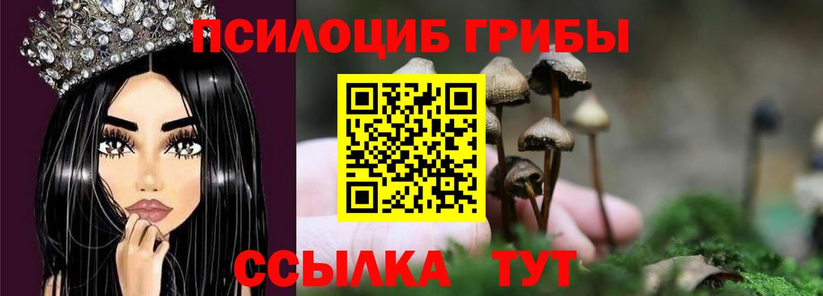 Галлюциногенные грибы Psilocybe Алушта
